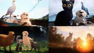 Collage by Beatrix Kondo of promotional pictures of Oscars 2025 Best Animated Feature - Flow | Source: Flow Website